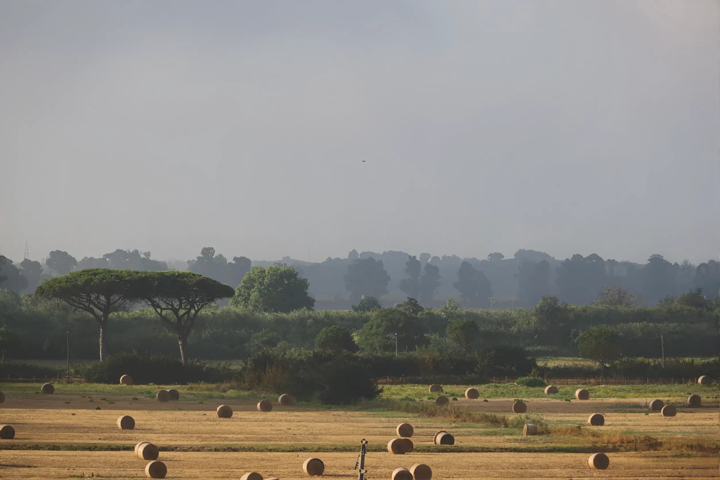 Sustainability & Limited Environmental Impact
